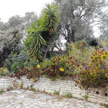 Bonifacio, Maison 90M² Sous Les Oliviers, Vue Sardaigne Bonifacio  Exterior photo