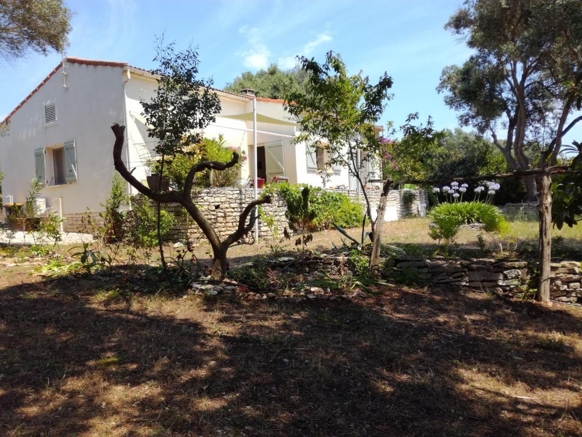 Bonifacio, Maison 90M² Sous Les Oliviers, Vue Sardaigne Bonifacio  Exterior photo